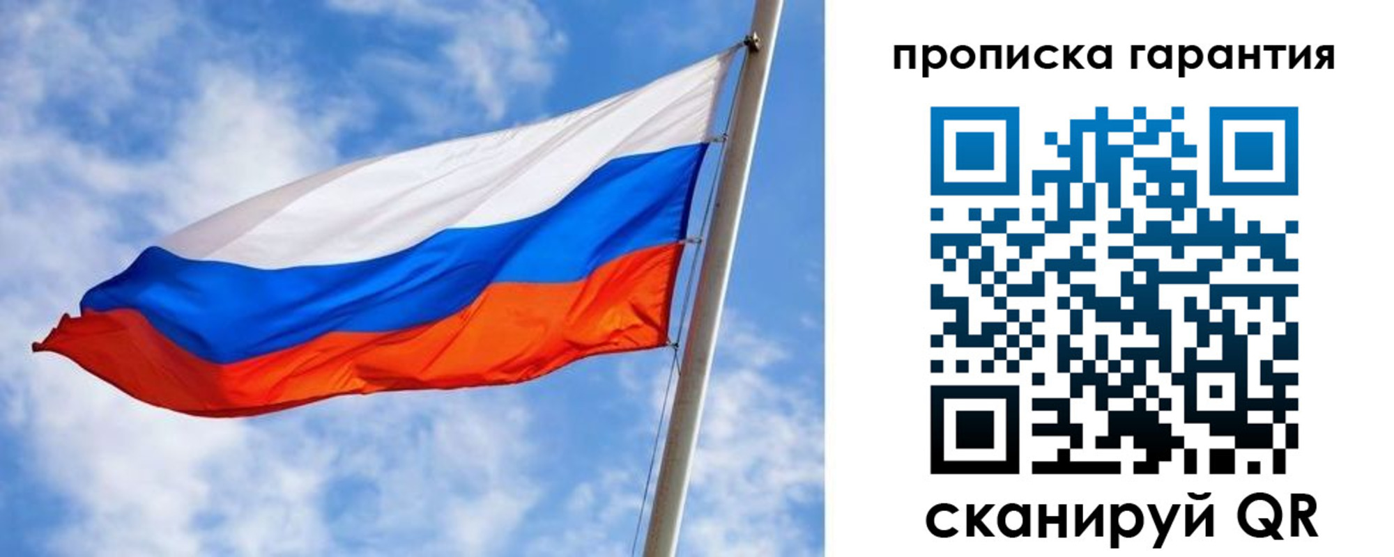 прописка гарантия в Рошале